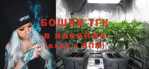 ECSTASY Вяземский