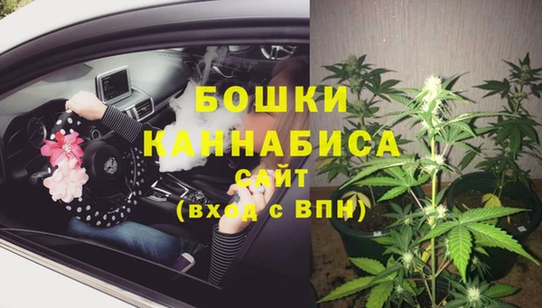 ECSTASY Горнозаводск