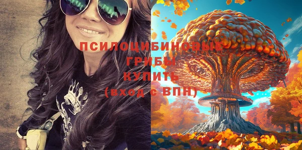 mdpv Вязьма